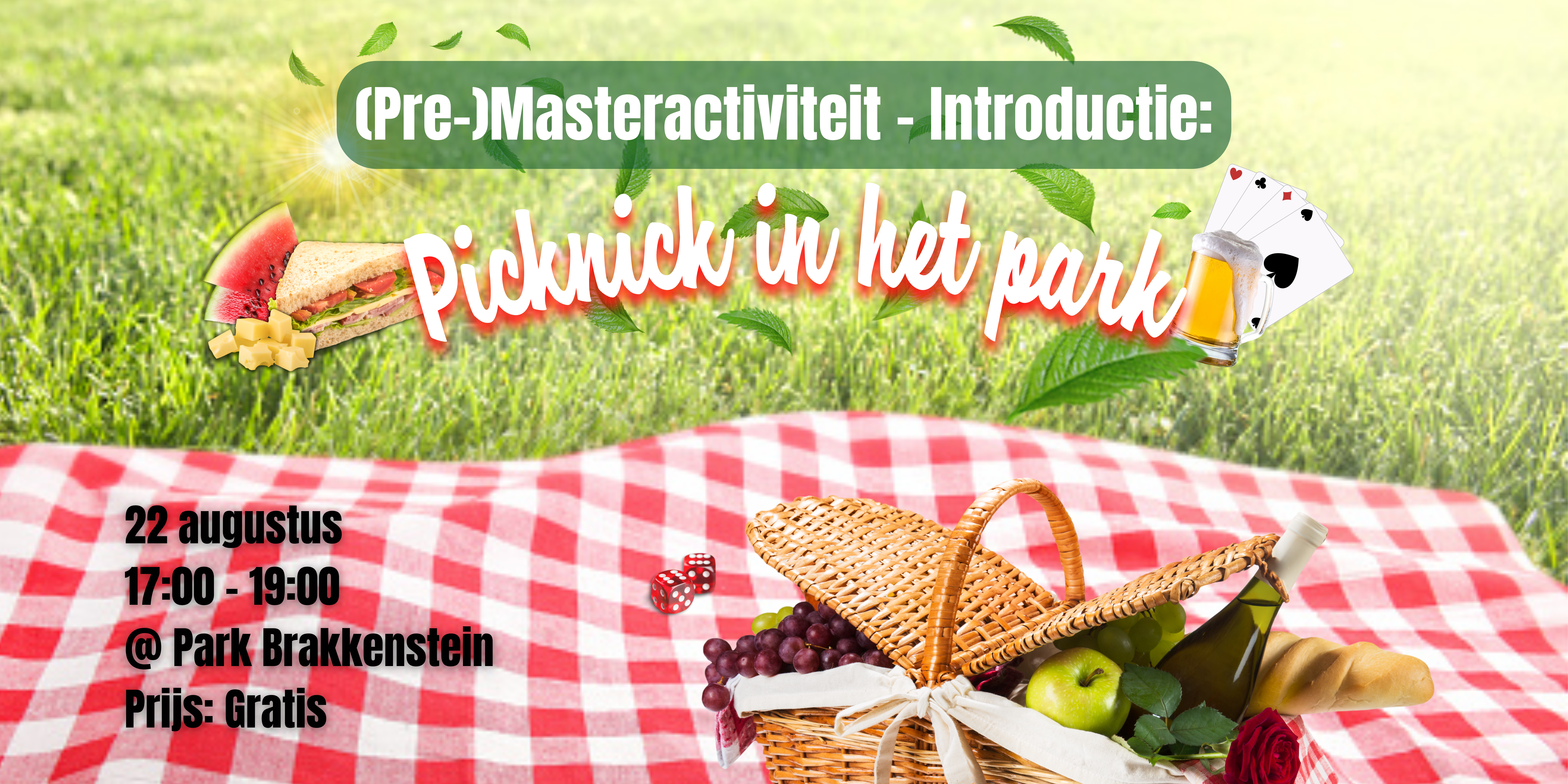 (Pre-)masteractiviteit introductie: Picknick in het park